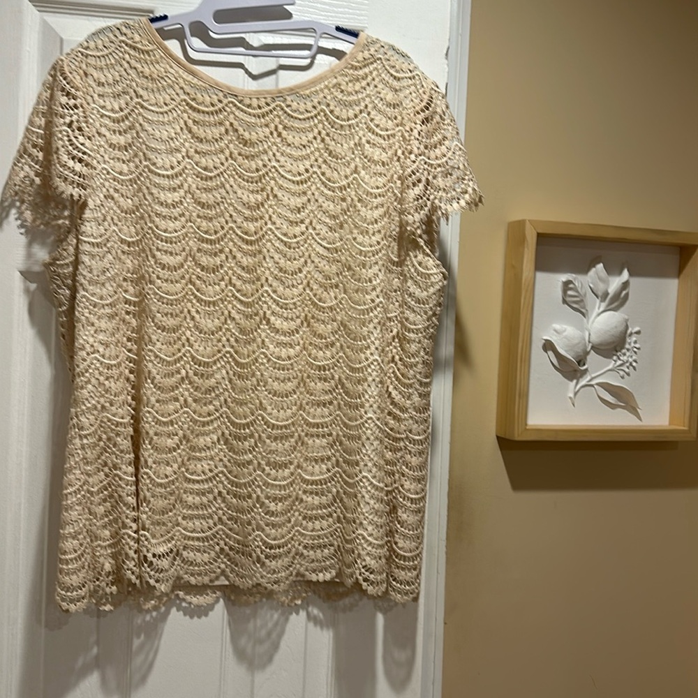 Banana Republic Lace Top, size 16